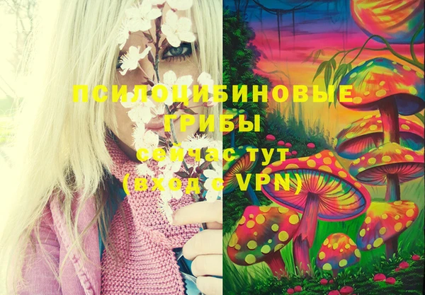 эйфоретик Абинск