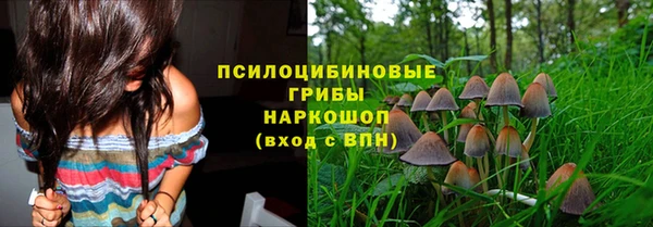 мескалин Абаза