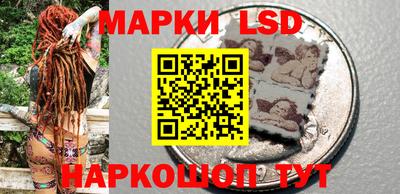МДПВ Новозыбков