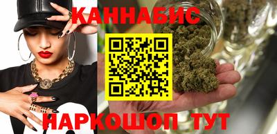 МДПВ Новозыбков