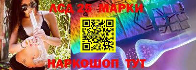 ешки Новодвинск