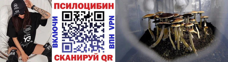 Галлюциногенные грибы ЛСД  Александров 