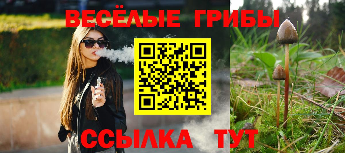 Псилоцибиновые грибы Psilocybine cubensis Александров