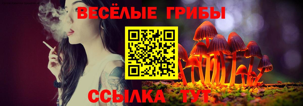 Александров  Псилоцибиновые грибы Magic Shrooms  Галлюциногенные грибы Magic Shrooms  Вход с VPN 